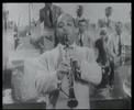 Profilový obrázek - mood indigo - Duke Ellington
