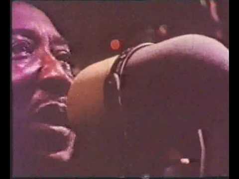 Profilový obrázek - Muddy Waters - Hoochie Coochie Man (1970)