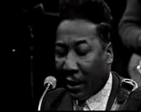 Profilový obrázek - Muddy Waters & James Cotton - You Can't Loose What...