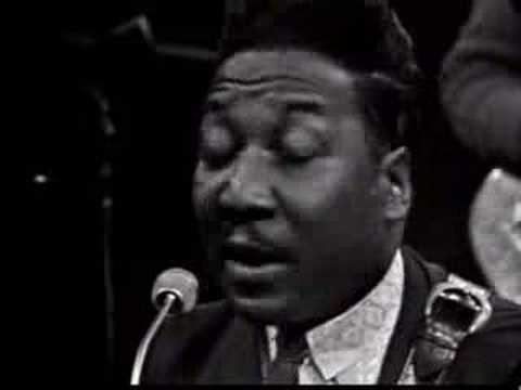 Profilový obrázek - Muddy Waters - You Can't Loose What Your Never Had
