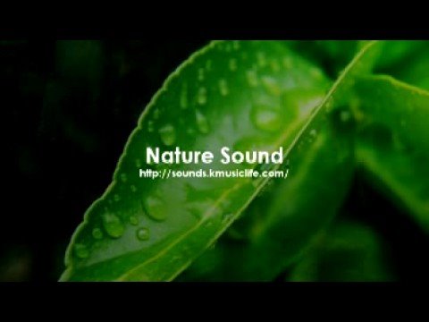 Profilový obrázek - Nature Sound 1 - THE MOST RELAXING SOUNDS -
