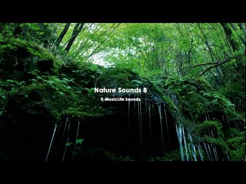 Profilový obrázek - Nature Sound 8 - THE MOST RELAXING SOUNDS -