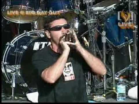 Profilový obrázek - Needles (Live at Big Day Out 2002)