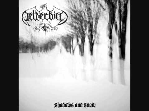 Profilový obrázek - Netherbird - Shadows and snow