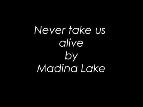 Profilový obrázek - Never take us alive by Madina Lake (HD)