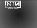 Profilový obrázek - Nine Inch Nails - Not So Pretty Now