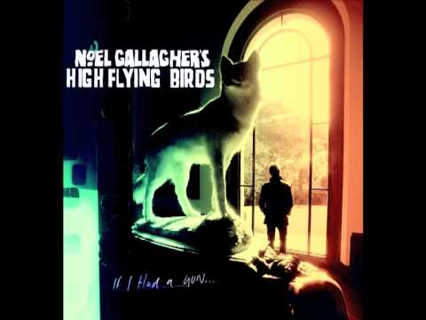Profilový obrázek - Noel Gallagher's High Flying Birds - If I Had A Gun