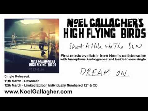 Profilový obrázek - Noel Gallagher's High Flying Birds - Shoot A Hole Into The Sun