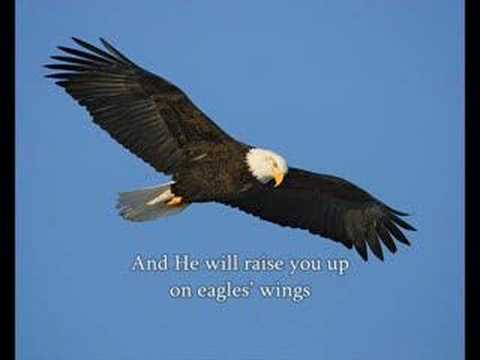 Profilový obrázek - On Eagle's Wings
