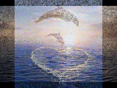 Profilový obrázek - One More Time - The Dolphin
