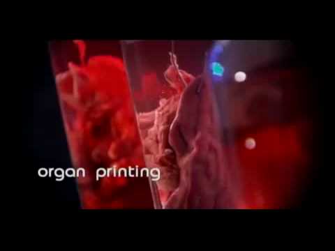Profilový obrázek - Organ Printing