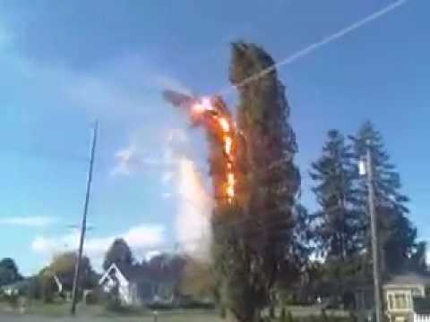 Profilový obrázek - ORIGINAL! Bellingham Carolina & Grant St Tree Fire Explosion 10.03.09