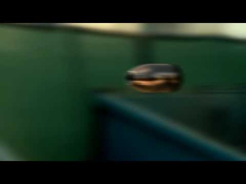 Profilový obrázek - Pendulum - Through The Loop [HD]