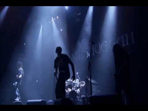 Profilový obrázek - Perpetual Black Second - Meshuggah - Alive (DVD)