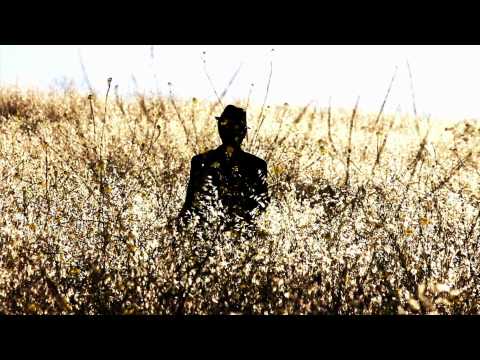 Profilový obrázek - Pink Martini - Splendor in the Grass | Official Music Video