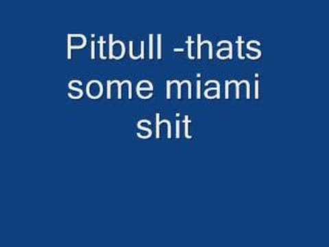 Profilový obrázek - pitbull miami shit