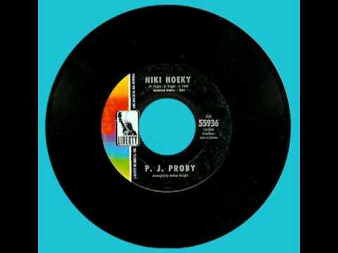 Profilový obrázek - PJ PROBY - Niki Hoeky (1967 Hit)