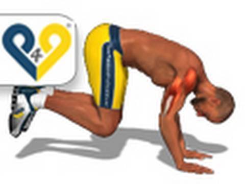 Profilový obrázek - Poitrine épaules et triceps