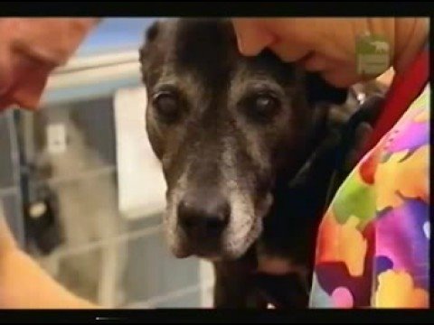 Profilový obrázek - Poor Dog Sui, Her Last & Final Chapter (Pt1)