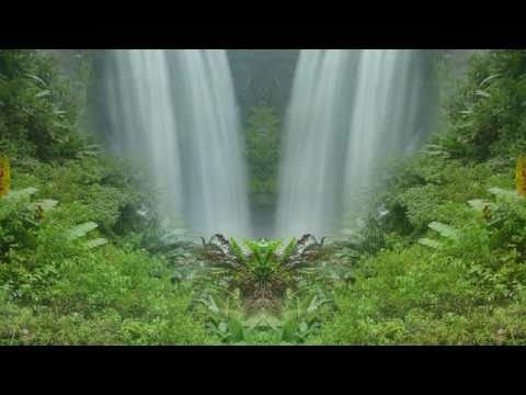 Profilový obrázek - PROGRES 2 - DŽUNGLE