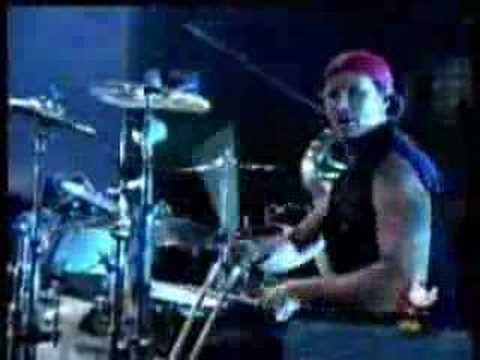 Profilový obrázek - Red Hot Chili Peppers - Around the World live  Woodstock '99