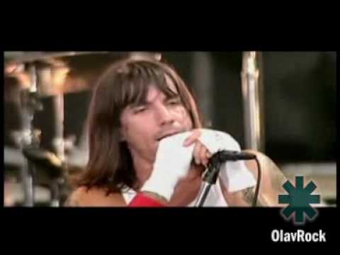 Profilový obrázek - Red hot chili peppers - Fortune Faded