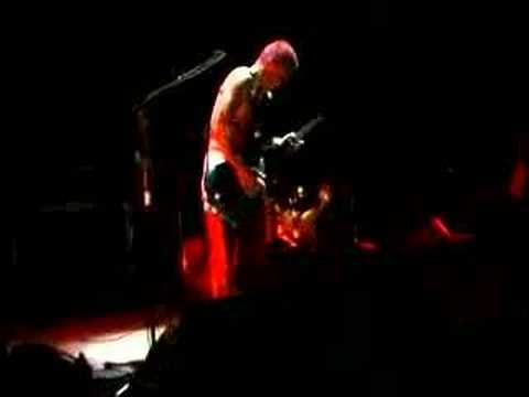 Profilový obrázek - Red Hot Chili Peppers Pacific Tour 2000 Episode 5
