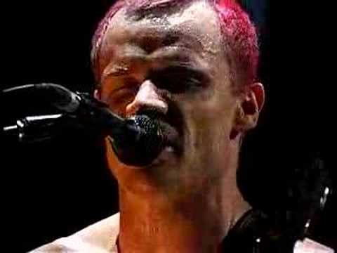 Profilový obrázek - Red Hot Chili Peppers Pacific Tour 2000 RECAP