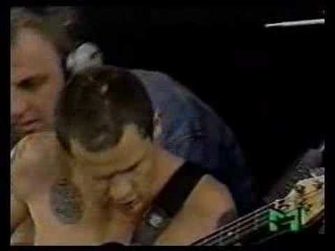 Profilový obrázek - Red Hot Chili Peppers - Pretty Little Ditty (Pinkpop 1990)