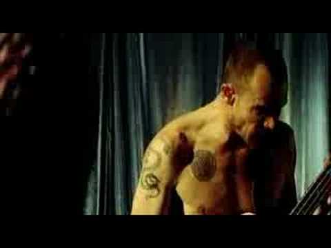 Profilový obrázek - Red Hot Chili Peppers Tell me baby