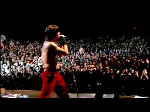 Profilový obrázek - Red Hot Chili Peppers - Throw Away Your Television - Live at Slane Castle