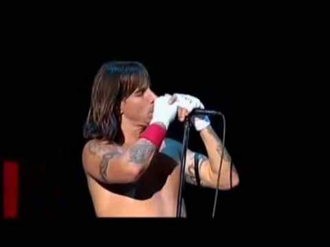 Profilový obrázek - Red Hot Chili Peppers - Under the Bridge live in yokohama 04