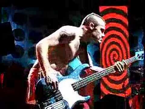 Profilový obrázek - Red Hot Chili Peppers US Tour 2000 Sir Psycho