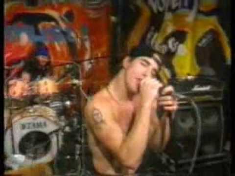 Profilový obrázek - Red Hot Chili Peppers - Yertle the Turtle - nozems-a-gogo
