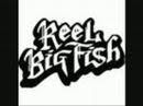 Profilový obrázek - Reel big fish - S.R (many versions of)
