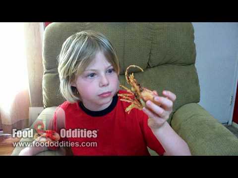Profilový obrázek - Remy Eats Shrimp Heads (Food Oddities - www.foododdities.com)