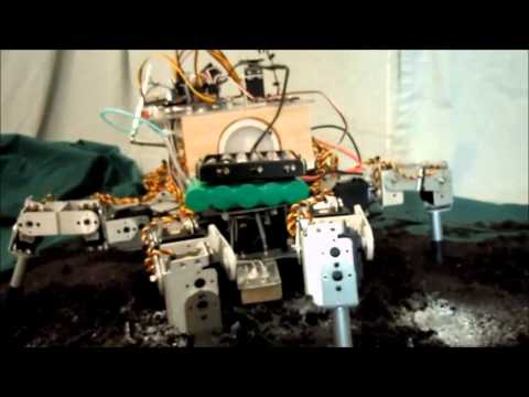 Profilový obrázek - Robotic Farmer: Prospero, a single member of a robotic swarm