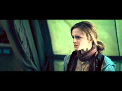 Profilový obrázek - Ron and Hermione - She is Love (Deathly Hallows Part 1) 