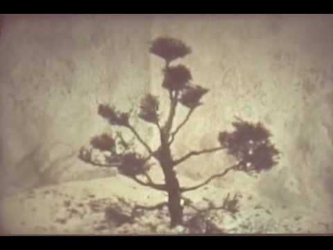 Profilový obrázek - RYLAND BOUCHARD - "SEWING" (Juniper Tree Super 8 stop motion animation)