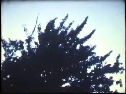 Profilový obrázek - RYLAND BOUCHARD - "TONGUES" (Cherry Tree Time Lapse, Super 8, 8mm Film)