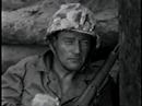 Profilový obrázek - Sands of Iwo Jima - Count Your Toes