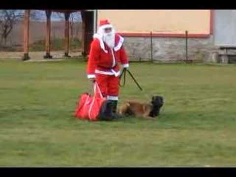 Profilový obrázek - Santa Claus with his bodyguard dog Tiger