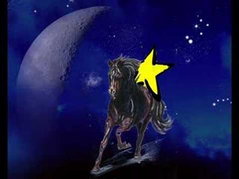 Profilový obrázek - Scarling. Black Horse Riding Star