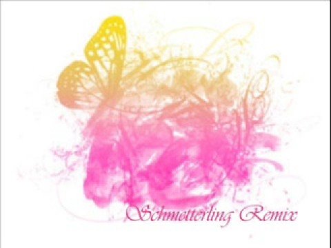Profilový obrázek - SchmetterLing RMX