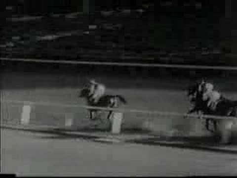 Profilový obrázek - Seabiscuit wins the 1940 Santa Anita Handicap