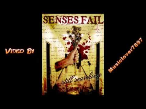 Profilový obrázek - Senses Fail - Still Searching lyrics