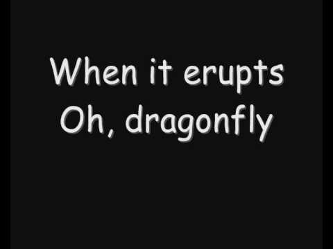 Profilový obrázek - Shaman's Harvest - Dragonfly (Lyrics)