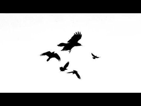 Profilový obrázek - Shinedown - Breaking Inside - with lyrics