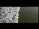 Profilový obrázek - Sofa Surfers - A Good Day To Die (official Video)