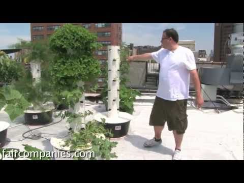 Profilový obrázek - Soil-less sky farming: rooftop hydroponics on NYC restaurant